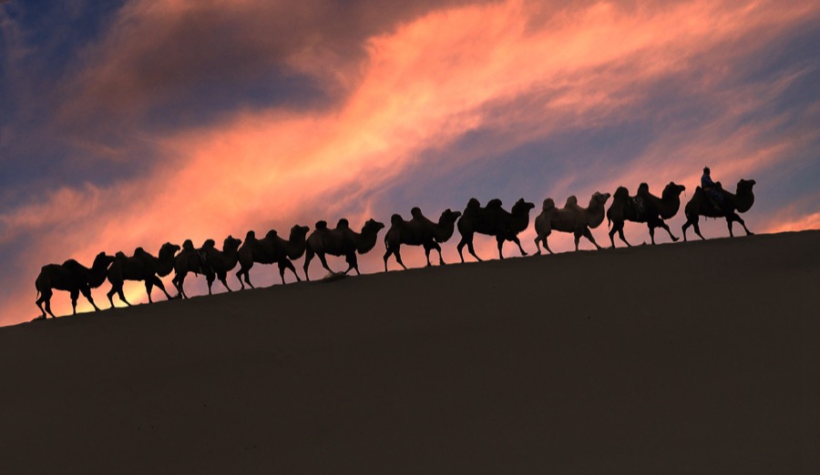 Silk Road