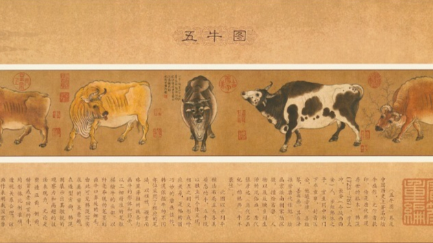 Five Oxen