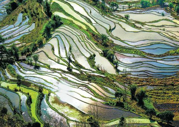 Cultural Landscape of Honghe Hani Rice Terraces