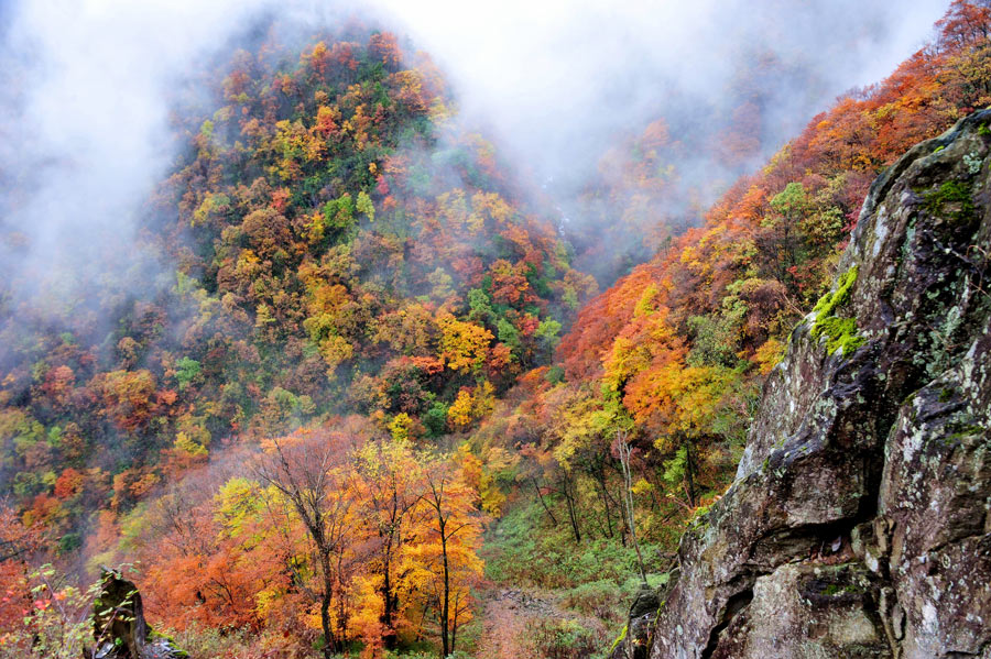 Hubei Shennongjia