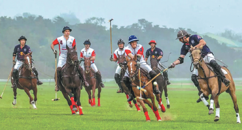 Polo