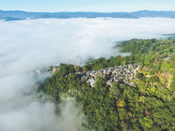 Cultural Landscape of Old Tea Forests of the Jingmai Mountain in Pu’er