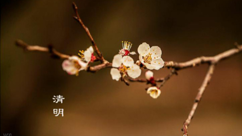 Qingming Festival