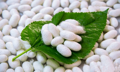 Sericulture and Silk Craftsmanship of China
