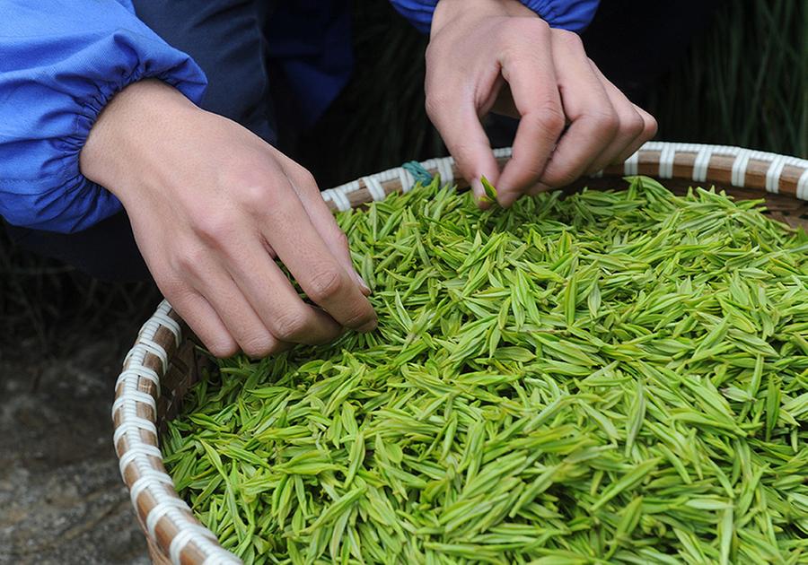 West Lake Longjing