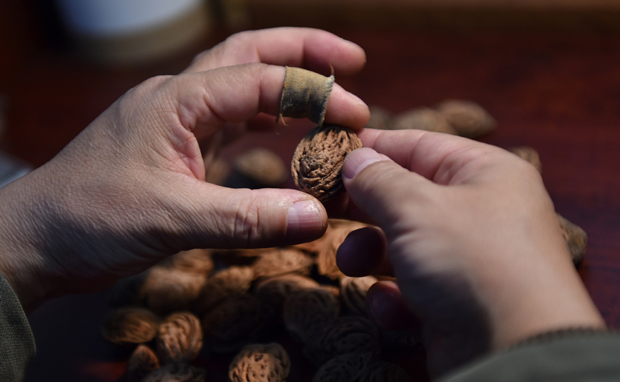 Dalian Nut Carving