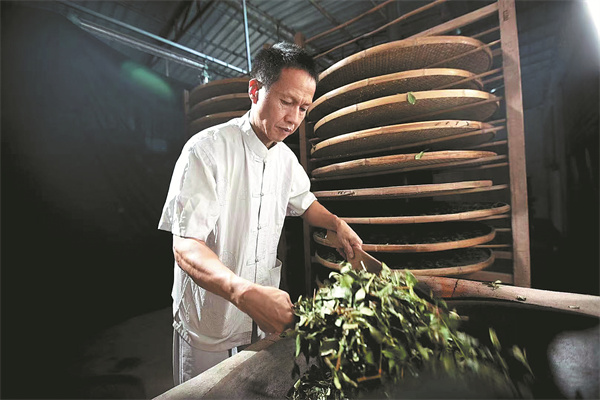 Tieguanyin