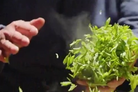 Enshi Yulu