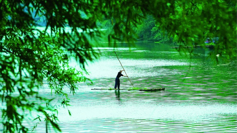 Bamboo Culture