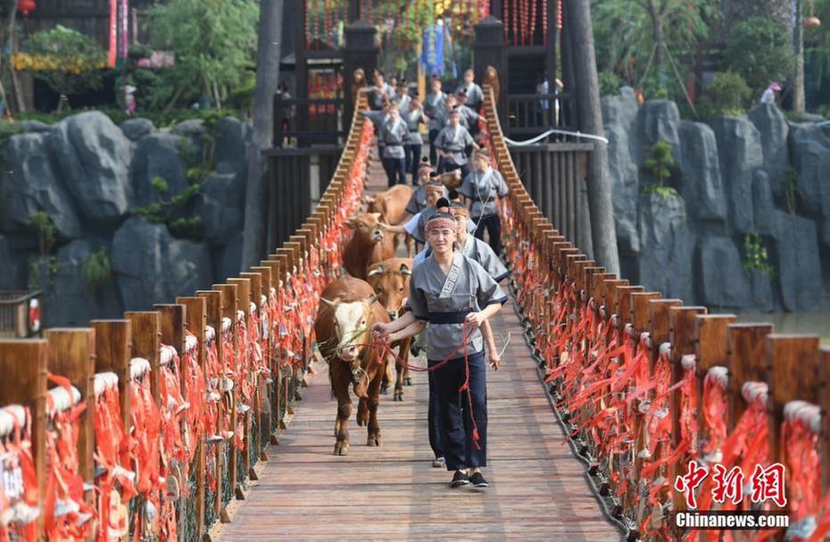 The Cowherd and the Weaver Girl