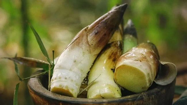 Bamboo Shoots in Chinese Cuisine