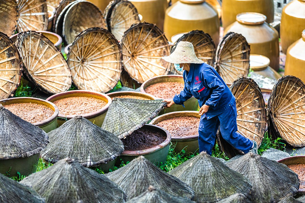 Fermented Soy Bean