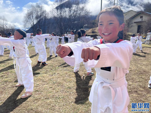 Taekwondo