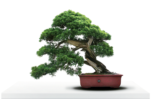 Penjing