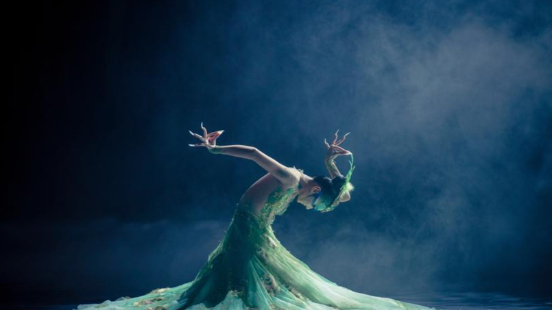 Dance Drama 'Peacock'