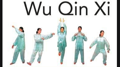 Wu Qin Xi