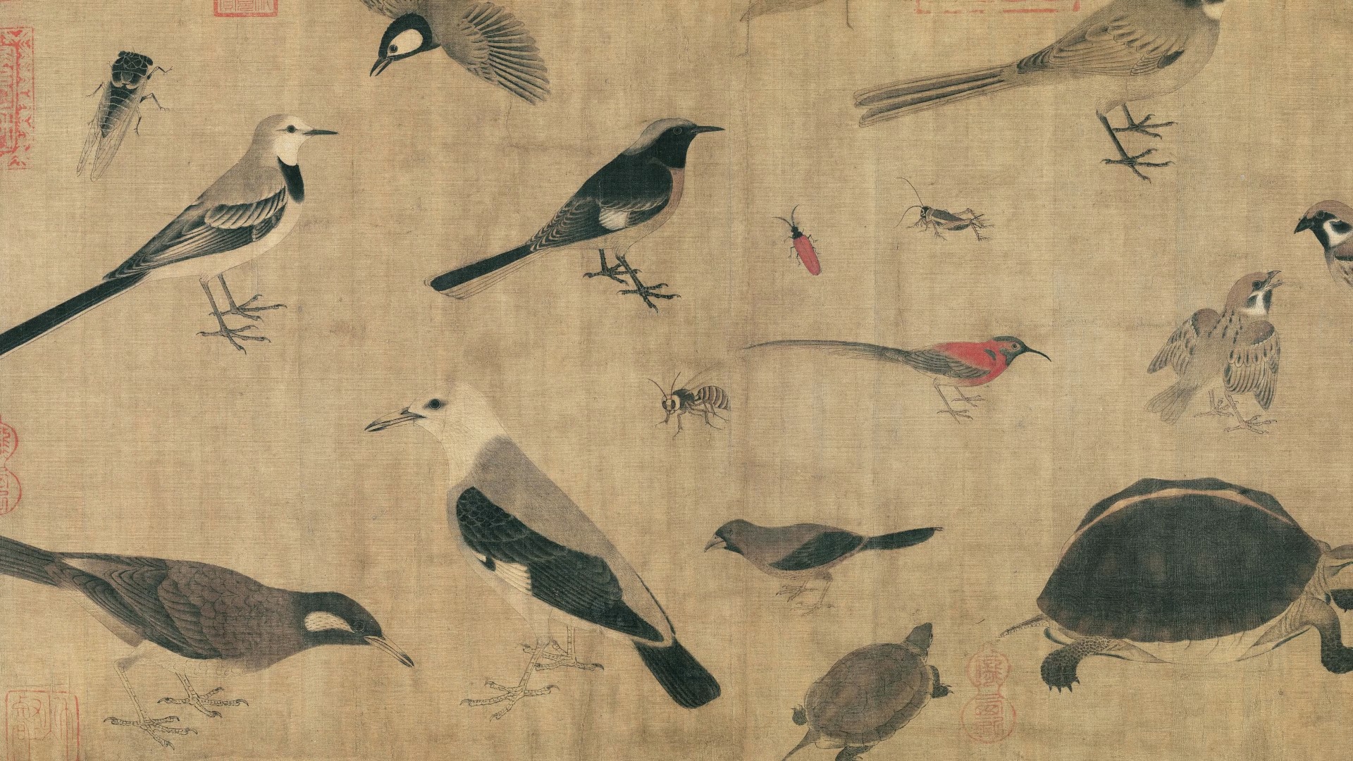 Sketches of Rare Birds and Insects