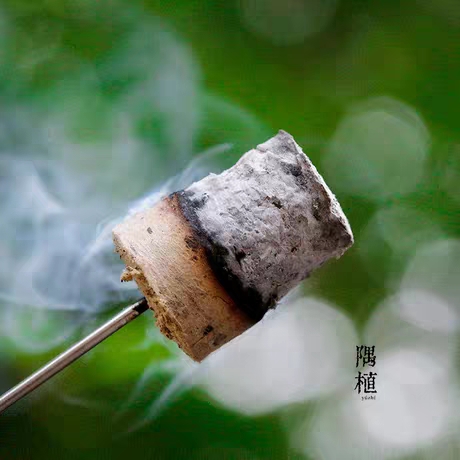 Moxibustion