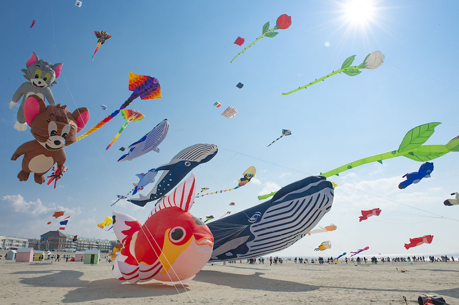 Kite Flying