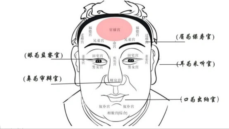 Face Reading