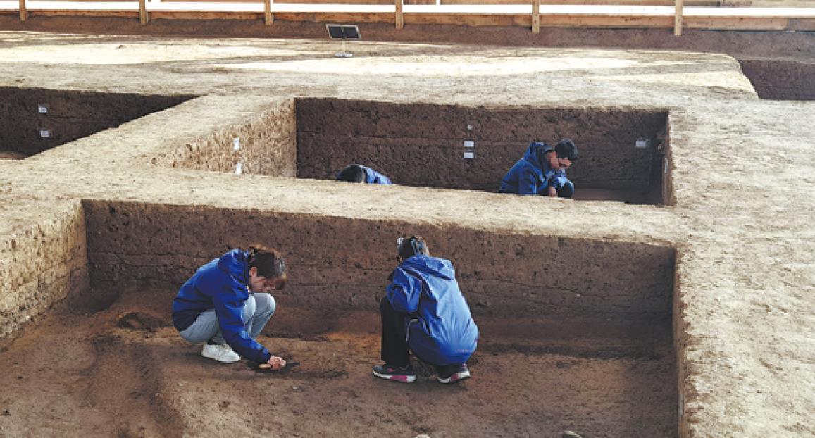 Yangshao Site