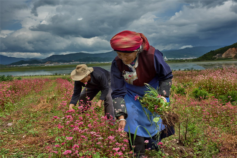 Qinghai-Tibet Plateau