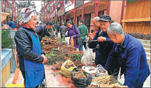 Miao Medicine