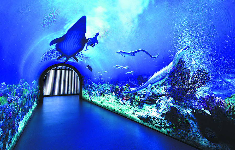 Geological Museum of Guizhou