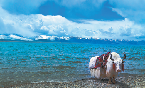 Namtso Lake