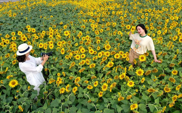 Qidong Ecological Greenbelt