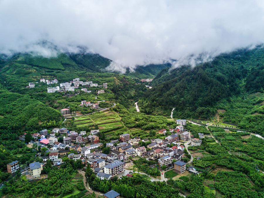 Tianmu Mountain