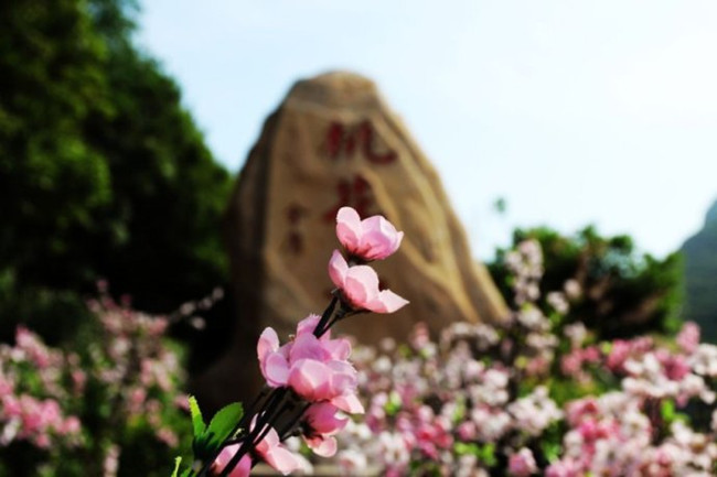 Peach Blossom Island