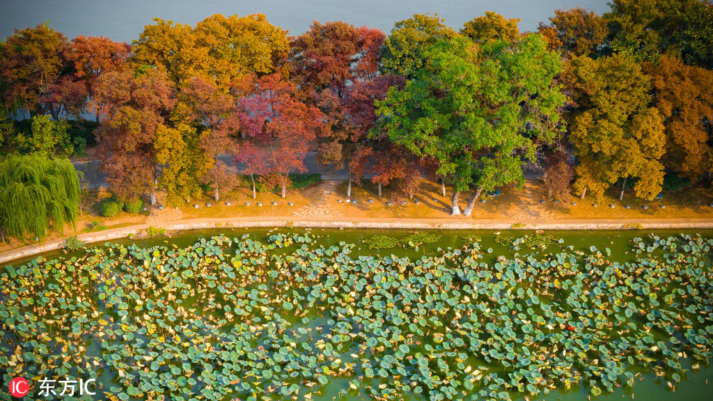 Xuanwu Lake