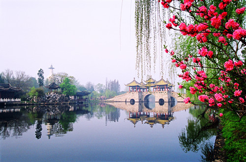 Slender West Lake