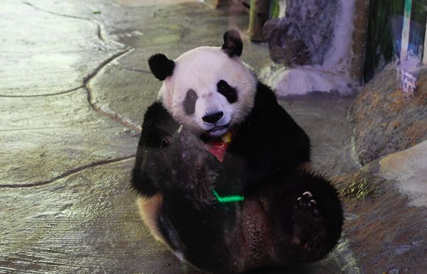 Hainan Tropical Wildlife Park and Botanical Garden