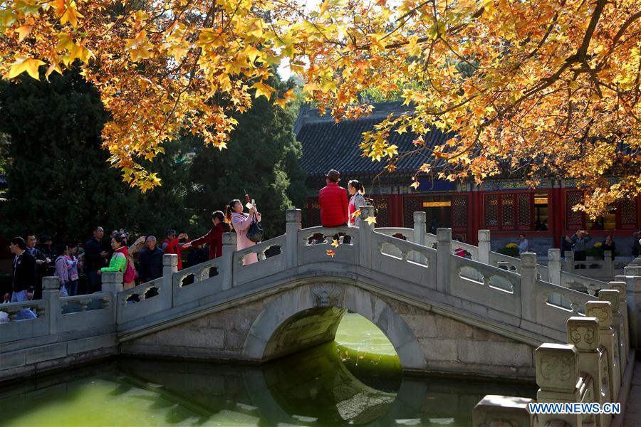 Xiangshan Park