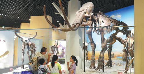 Natural History Museum of China