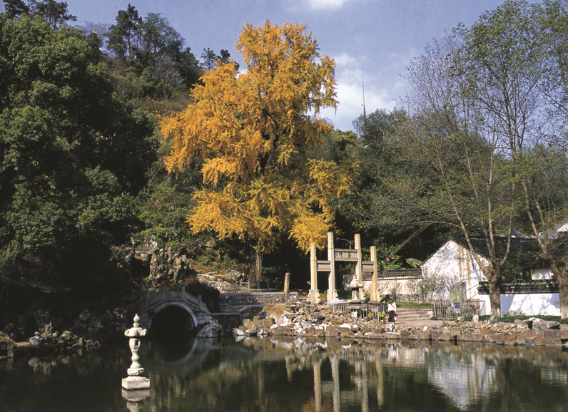 Kunshan Tinglin Park