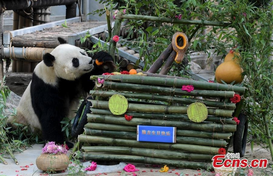 Jinan Zoo