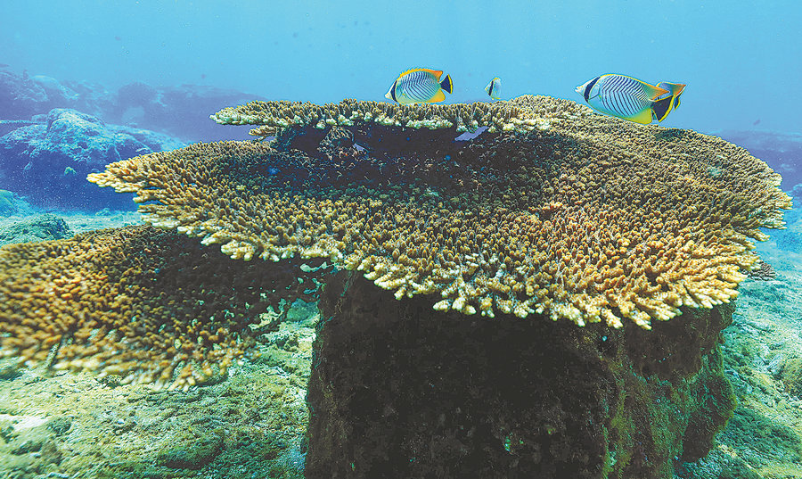 Boundary Island, Hainan