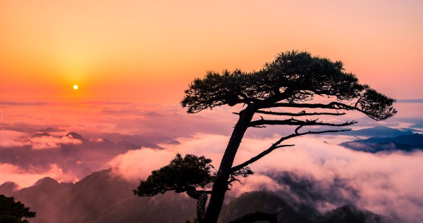 Sanqing Mountain