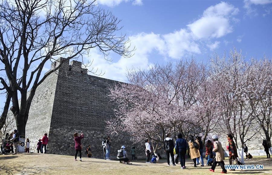 Beijing City Wall
