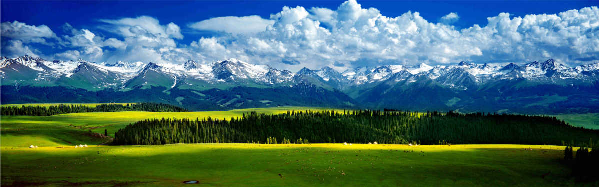 Kalajun Grassland