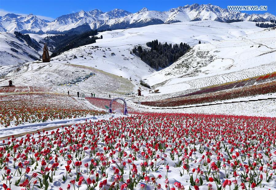 Jiangbulake Scenic Area, Xinjiang Uygur Autonomous Region
