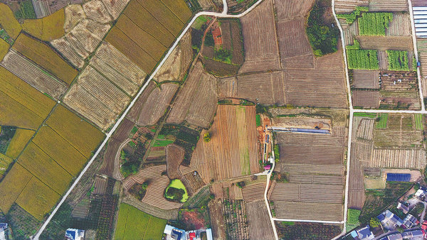 Huangchaodun Site in Quzhou