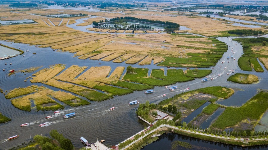 Baiyangdian Scenic Area