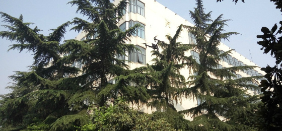Henan Provincial Library
