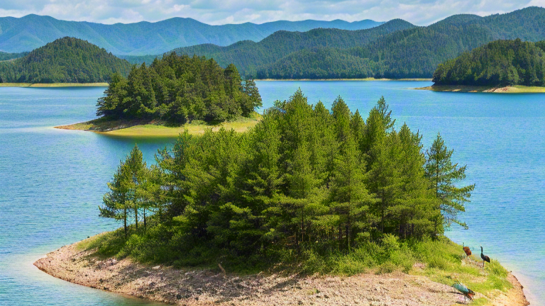 Peacock Island
