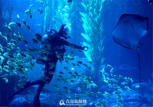 Qingdao Underwater World