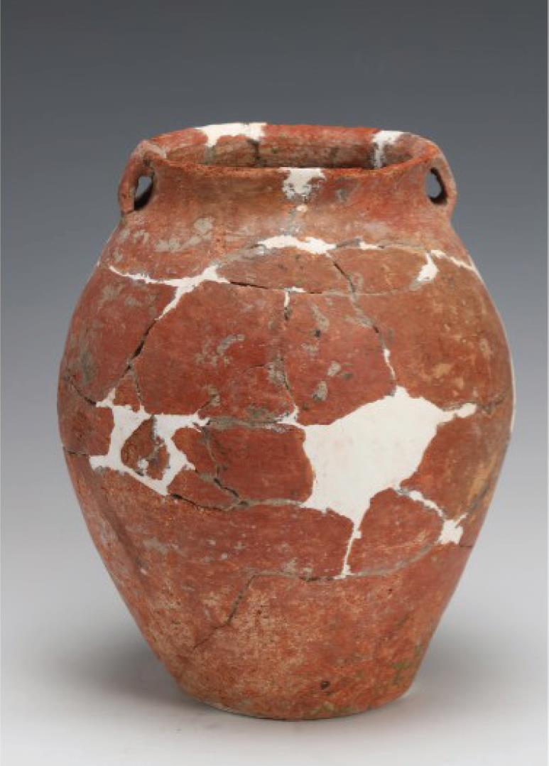 Xiatang Site